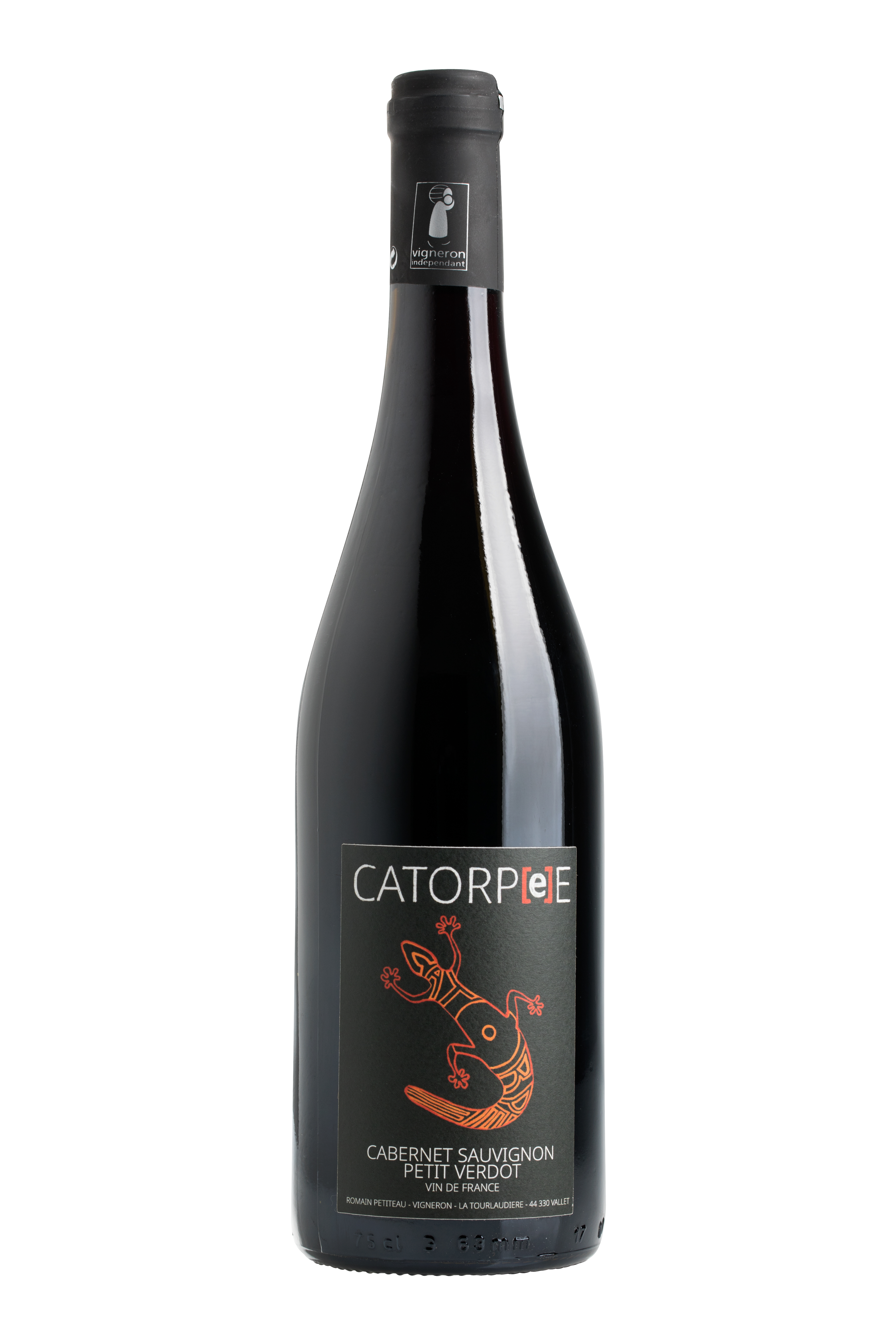 [JPG] CATORPE ROUGE